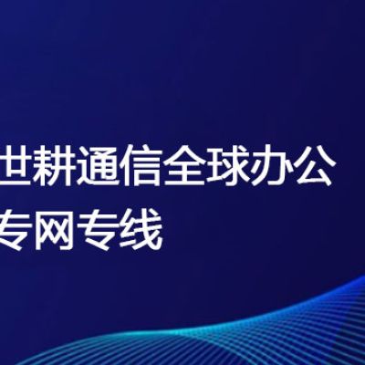  海外业务 央企 网络 方案--解决方案//世耕通信全球办公专网专线