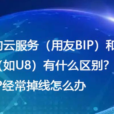 用友的云服务（用友BIP）和传统软件（如U8）有什么区别？用友外网IP经常掉线怎么办？-解决方案//世耕通信全球办公专网专线