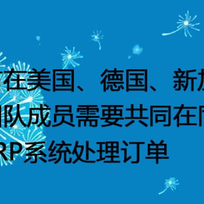 分布在美国、德国、新加坡的团队成员需要共同在同一个ERP系统处理订单-- 解决方案//世耕通信全球ERP、OA办公专网专线