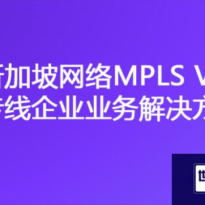 新加坡企业IT系统如何与国内企业对接，新加坡网络MPLS VPN专线怎么选择？？？解决方案//世耕通信ERP、OA专网服务商