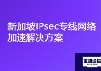 新加坡登录不了国内集群办公系统，新加坡网络IPsec专线网络加速？？？解决方案//世耕通信ERP、OA专网服务商