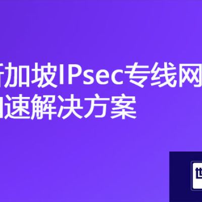 新加坡登录不了国内集群办公系统，新加坡网络IPsec专线网络加速？？？解决方案//世耕通信ERP、OA专网服务商