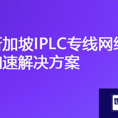 新加坡-国内ERP、OA网络卡顿，新加坡网络IPLC专线产品优势？？？解决方案//世耕通信ERP、OA专网服务商