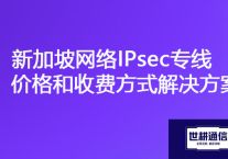 OA办公系统在新加坡网速慢，新加坡网络IPsec专线价格和收费方式？？？解决方案//世耕通信海外云专网