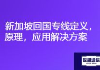 中国公司和新加坡分公司网络连接方式，新加坡回国专线定义，原理，应用？？解决方案//世耕通信ERP、OA专网服务商