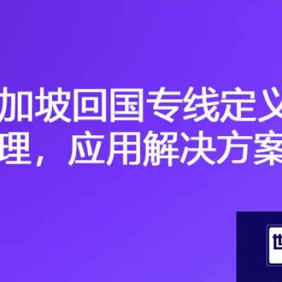 中国公司和新加坡分公司网络连接方式，新加坡回国专线定义，原理，应用？？解决方案//世耕通信ERP、OA专网服务商