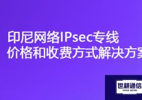 OA办公系统在印尼网速慢，印尼网络IPsec专线价格和收费方式？？？解决方案//世耕通信海外云专网