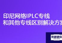 MPLS 访问 国外服务器 专线，印尼网络IPLC专线和其他专线区别？？？解决方案//世耕通信海外云专网