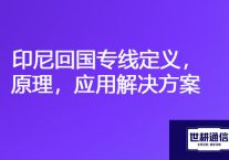 中国公司和印尼分公司网络连接方式，印尼回国专线定义，原理，应用？？？解决方案//世耕通信海外云专网