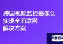 企业监控：跨国视频监控摄像头实现全面联网？？？解决方案//世耕通信全球视频监控专网