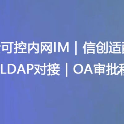 安全可控内网IM｜信创适配｜AD/LDAP对接｜OA审批移动化--解决方案//世耕通信 即时通讯（IM）私有化部署