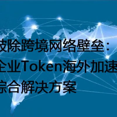 破除跨境网络壁垒：企业Token海外加速综合解决方案--解决方案//世耕通信全球办公专网专线