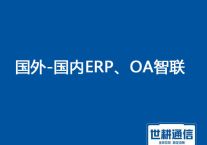 如何应对ERP系统国外登录缓慢，提升系统响应速度？？？？？解决方案//世耕通信ERP、OA专网服务商