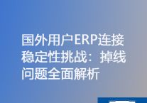 国外用户ERP连接稳定性挑战：掉线问题全面解析？？？？？解决方案//世耕通信ERP、OA专网服务商
