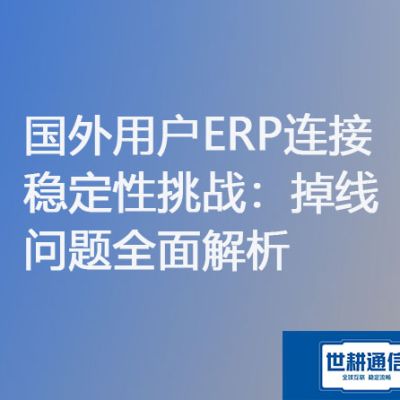 国外用户ERP连接稳定性挑战：掉线问题全面解析？？？？？解决方案//世耕通信ERP、OA专网服务商
