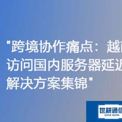 跨境协作痛点：越南访问国内ERP服务器慢 延迟大 方案集锦？？？？解决方案//世耕通信ERP、OA专网服务商
