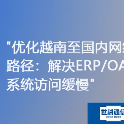越南登录国内erp网络慢是什么原因？？？？？解决方案//世耕通信ERP、OA专网服务商