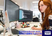 企业访问专线中SD-WAN技术的问题解答与优化方案？？？解决方案//世耕通信ERP、OA专网服务商