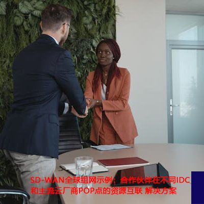 SD-WAN全球组网示例：合作伙伴在不同IDC和主流云厂商POP点的资源互联？？？解决方案//世耕通信ERP、OA专网服务商