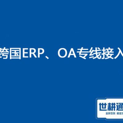 在国外OA 系统运行慢 打开国内OA很慢 ？？？？？解决方案//世耕通信ERP、OA专网服务商 