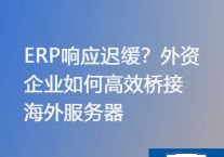 国内外资企业访问海外ERP服务器迟缓 ？？？？？解决方案//世耕通信ERP、OA专网服务商