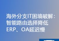 海外分支IT困境破解：智能路由选择降低ERP、OA延迟慢 ？？？？？解决方案//世耕通信ERP、OA专网服务商