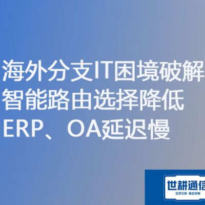 海外分支IT困境破解：智能路由选择降低ERP、OA延迟慢 ？？？？？解决方案//世耕通信ERP、OA专网服务商