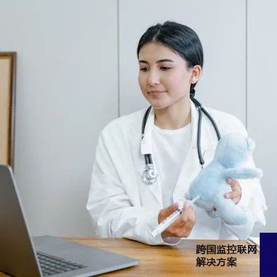 企业工厂跨国监控联网？？？？解决方案//世耕通信全球视频监控专网