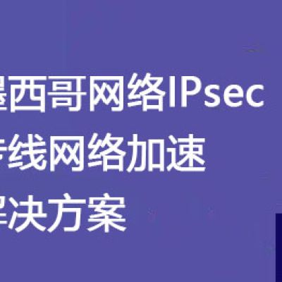墨西哥网络IPsec专线网络加速？？？解决方案//世耕通信全球ERP、OA办公专网