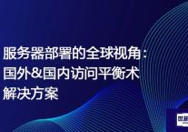 服务器部署的全球视角：国外&国内访问平衡术？？？解决方案//世耕通信全球ERP、OA办公专网