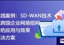 实践案例：SD-WAN技术在跨国企业网络组网中的应用与效果？？？解决方案//世耕通信全球ERP、OA办公专网