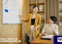 越南分支机构SD-WAN专线：加速国内总部网络连接？？？解决方案//世耕通信全球ERP、OA办公专网