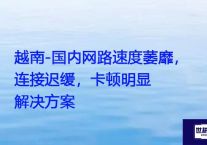 越南-国内网络内部访问延迟显著，速度惰慢，操作频挫？？？解决方案//世耕通信全球ERP、OA办公专网