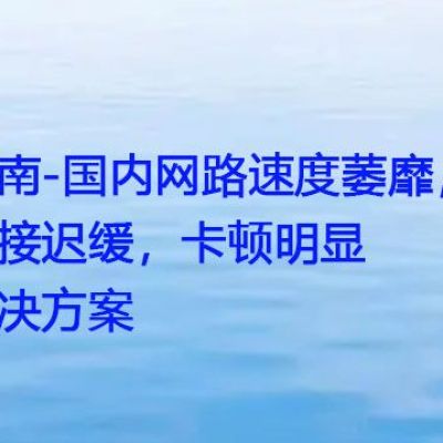 越南-国内网络内部访问延迟显著，速度惰慢，操作频挫？？？解决方案//世耕通信全球ERP、OA办公专网