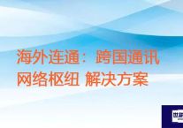 海外连通：跨国通讯网络枢纽？？？解决方案//世耕通信全球ERP、OA办公专网