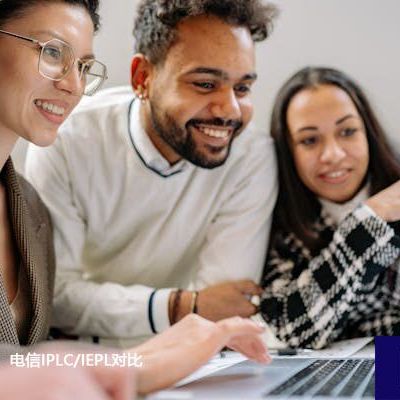 企业跨境网络：电信IPLC/IEPL对比？？？解决方案//世耕通信全球ERP、OA办公专网