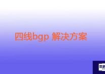 四线bgp？？？解决方案//世耕通信全球ERP、OA办公专网