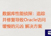  数据库性能侦探：追踪并修复导致Oracle访问缓慢的元凶 ？？？解决方案//世耕通信全球ERP、OA办公专网