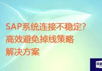 SAP连接频繁中断？系统稳定性的维护策略？？？解决方案//世耕通信全球ERP、OA办公专网