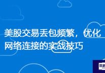 海外办公网络优化：针对阿里云ERP系统的DNS与路由策略？？？解决方案//世耕通信全球ERP、OA办公专网