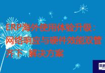 ERP海外使用体验升级：网络响应与硬件效能双管齐下？？？解决方案//世耕通信全球ERP、OA办公专网