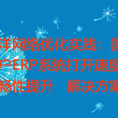 跨洋网络优化实践：国外用户ERP系统打开速度与流畅性提升？？？解决方案//世耕通信全球ERP、OA办公专网