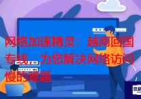 网络加速精灵：越南回国专线，为您解决网络访问慢的难题？？？？解决方案//世耕通信全球办公专网专线