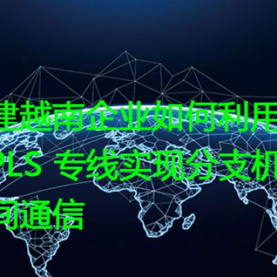 构建越南企业如何利用MPLS 专线实现分支机构间通信？？？？解决方案//世耕通信全球办公专网