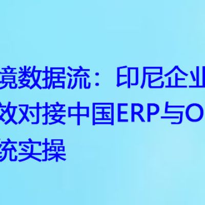 跨境数据流：印尼企业高效对接中国ERP与OA系统实操？解决方案//世耕通信全球ERP、OA办公专网专线