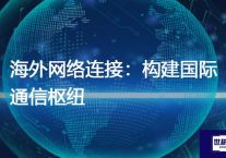 海外网络连接：构建国际通信枢纽？解决方案//世耕通信全球办公专网专线
