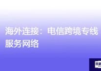 海外连接：电信跨境专线服务网络？解决方案//世耕通信全球办公专网专线