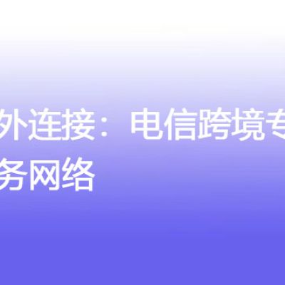 海外连接：电信跨境专线服务网络？解决方案//世耕通信全球办公专网专线