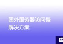 国外服务器访问慢？？？解决方案//世耕通信全球办公专网专线