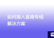 如何接入香港专线？？？解决方案//世耕通信全球办公专网专线